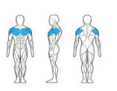 Pec Dec / Rear Delt Fly - HS015 - Almac Sports