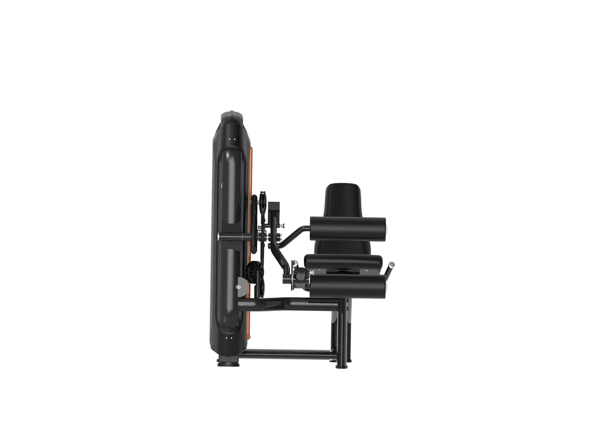 Leg Curl & Leg Extension - 04782