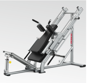 Hack Squat / Leg Press Machine