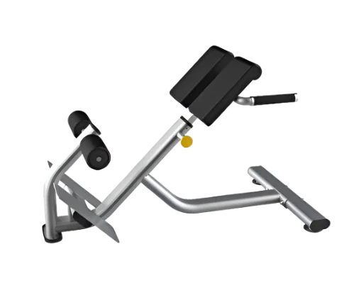 Buy Hyperextension Machine Online in India – Almac Sports