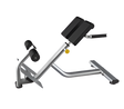 Hyperextension Machine - Almac Sports